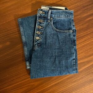 Everlane The Way-High Jean